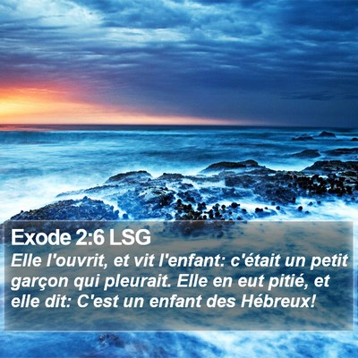 Exode 2:6 LSG Bible Verse Image
