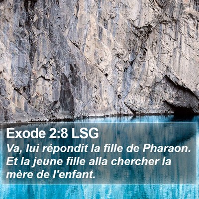 Exode 2:8 LSG Bible Verse Image