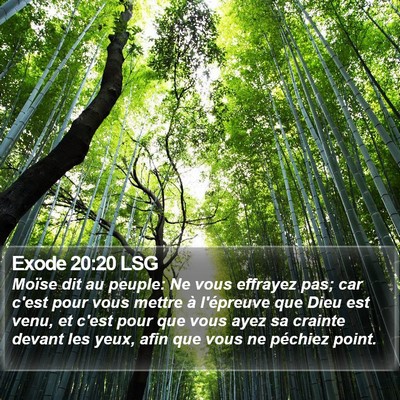 Exode 20:20 LSG Bible Verse Image