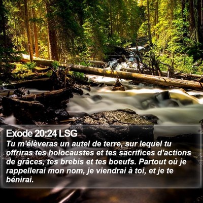 Exode 20:24 LSG Bible Verse Image