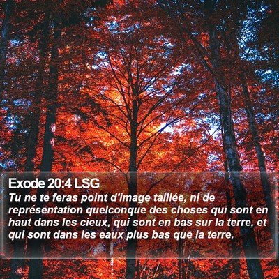 Exode 20:4 LSG Bible Verse Image