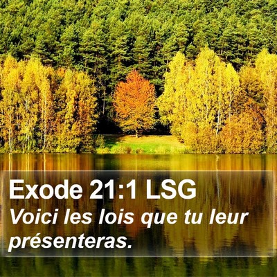 Exode 21:1 LSG Bible Verse Image