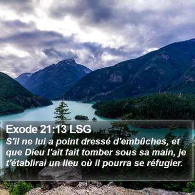Exode 21:13 LSG Bible Verse Image