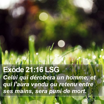 Exode 21:16 LSG Bible Verse Image
