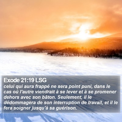 Exode 21:19 LSG Bible Verse Image