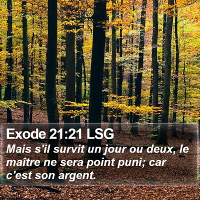 Exode 21:21 LSG Bible Verse Image