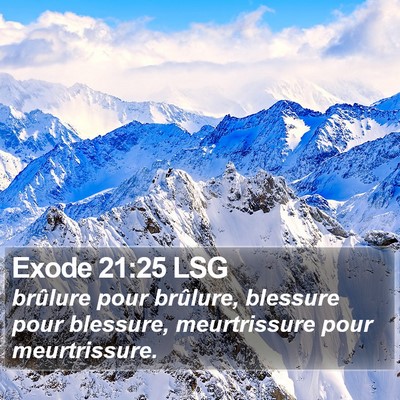 Exode 21:25 LSG Bible Verse Image
