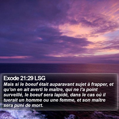 Exode 21:29 LSG Bible Verse Image