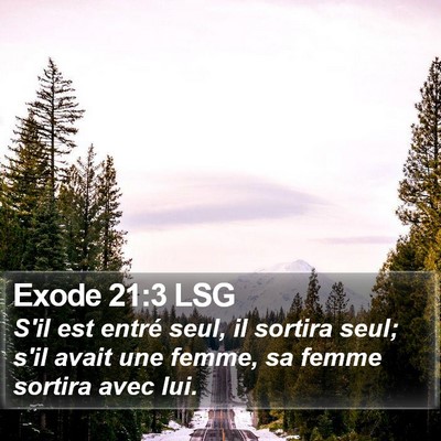 Exode 21:3 LSG Bible Verse Image