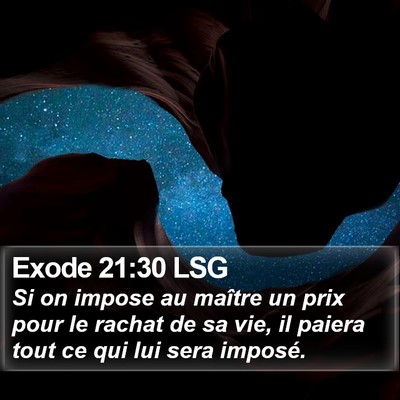 Exode 21:30 LSG Bible Verse Image