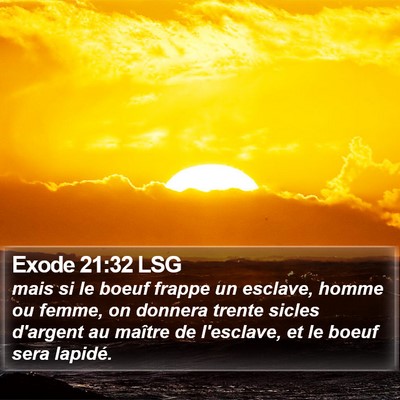 Exode 21:32 LSG Bible Verse Image