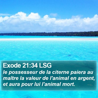 Exode 21:34 LSG Bible Verse Image