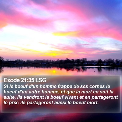 Exode 21:35 LSG Bible Verse Image