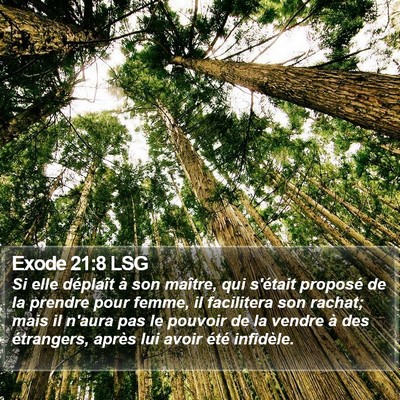Exode 21:8 LSG Bible Verse Image