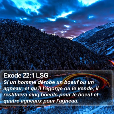 Exode 22:1 LSG Bible Verse Image