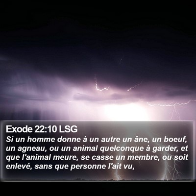 Exode 22:10 LSG Bible Verse Image