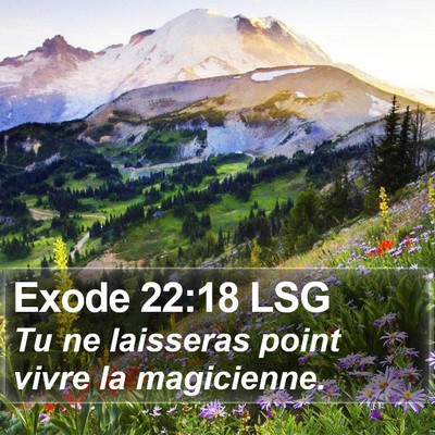 Exode 22:18 LSG Bible Verse Image