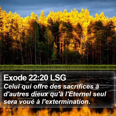 Exode 22:20 LSG Bible Verse Image