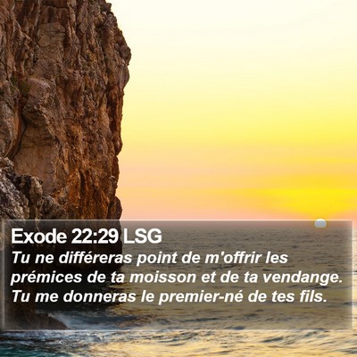 Exode 22:29 LSG Bible Verse Image