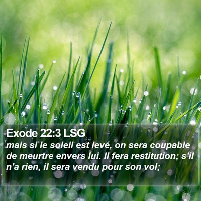 Exode 22:3 LSG Bible Verse Image