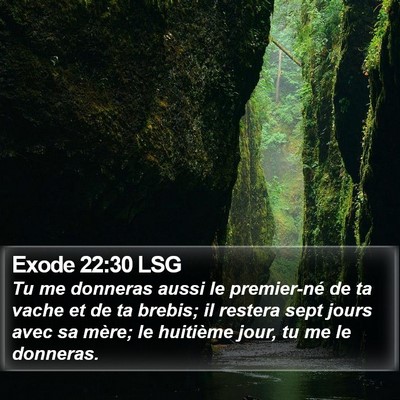 Exode 22:30 LSG Bible Verse Image