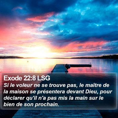 Exode 22:8 LSG Bible Verse Image