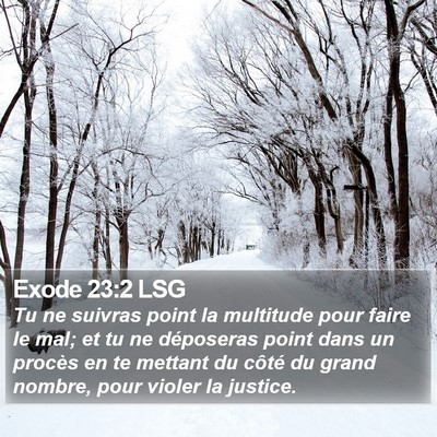 Exode 23:2 LSG Bible Verse Image