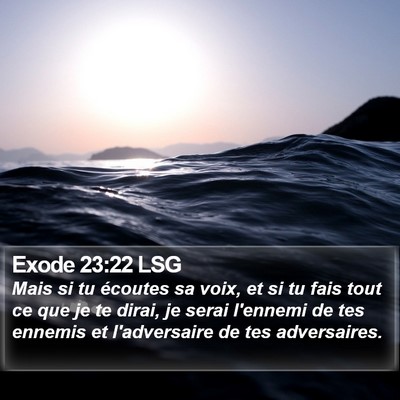 Exode 23:22 LSG Bible Verse Image