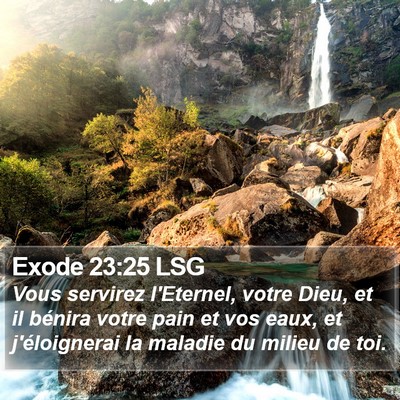 Exode 23:25 LSG Bible Verse Image