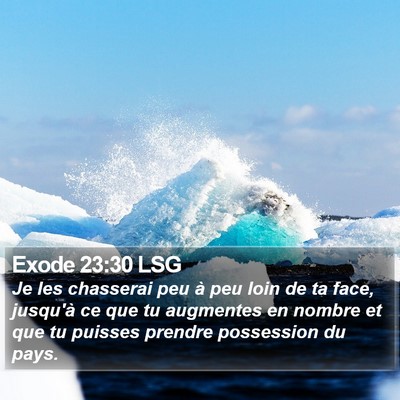 Exode 23:30 LSG Bible Verse Image