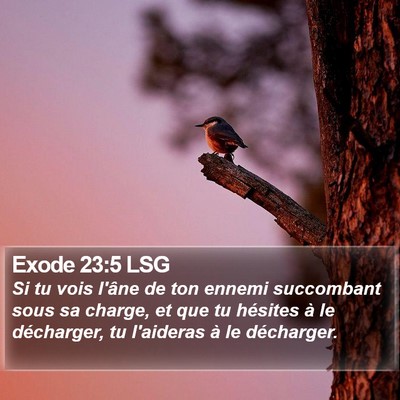 Exode 23:5 LSG Bible Verse Image