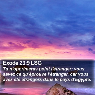 Exode 23:9 LSG Bible Verse Image