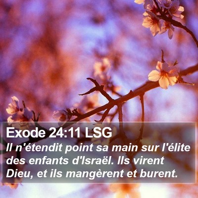 Exode 24:11 LSG Bible Verse Image
