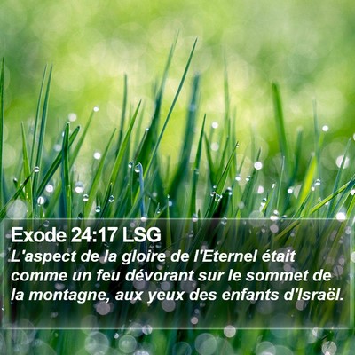 Exode 24:17 LSG Bible Verse Image