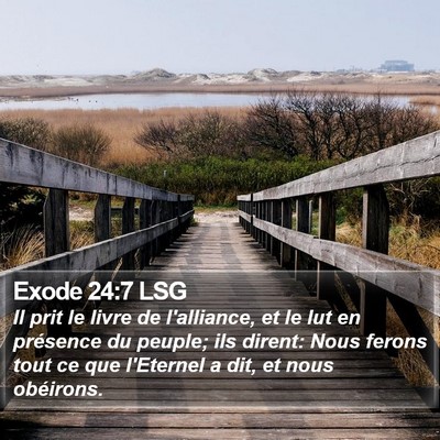 Exode 24:7 LSG Bible Verse Image
