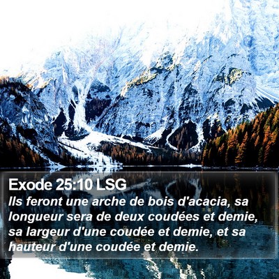 Exode 25:10 LSG Bible Verse Image