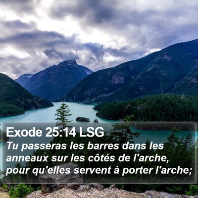 Exode 25:14 LSG Bible Verse Image
