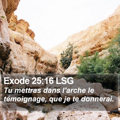 Exode 25:16 LSG Bible Verse Image
