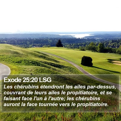 Exode 25:20 LSG Bible Verse Image