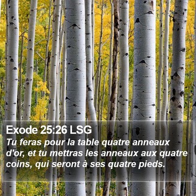 Exode 25:26 LSG Bible Verse Image