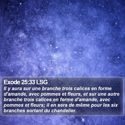 Exode 25:33 LSG Bible Verse Image