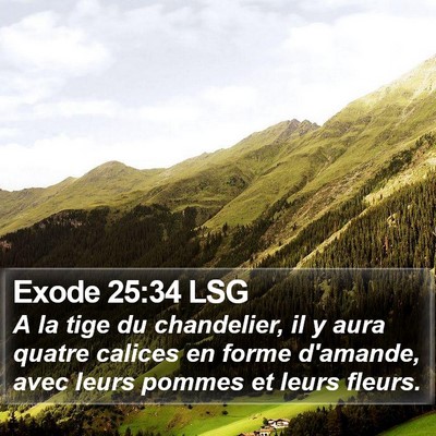 Exode 25:34 LSG Bible Verse Image
