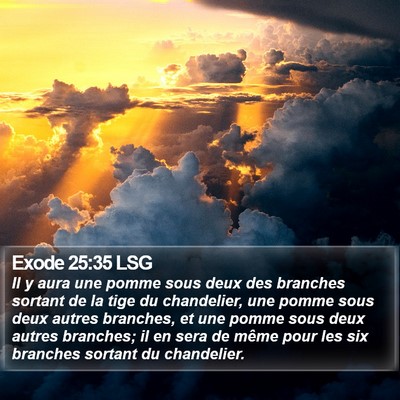 Exode 25:35 LSG Bible Verse Image