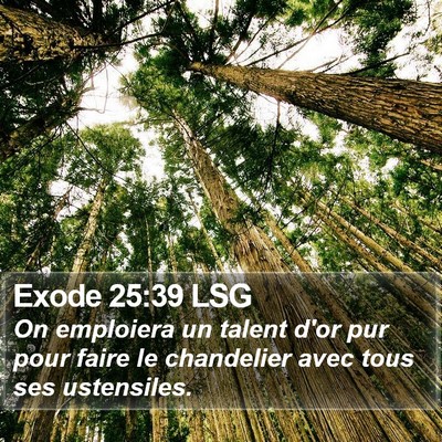 Exode 25:39 LSG Bible Verse Image