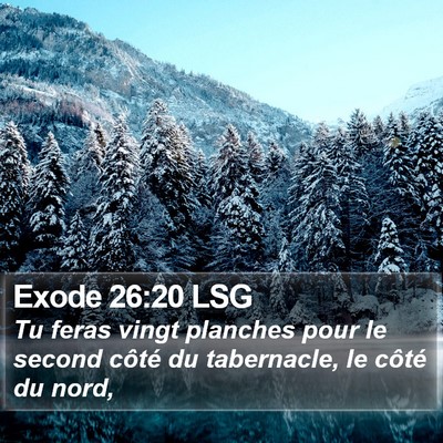 Exode 26:20 LSG Bible Verse Image
