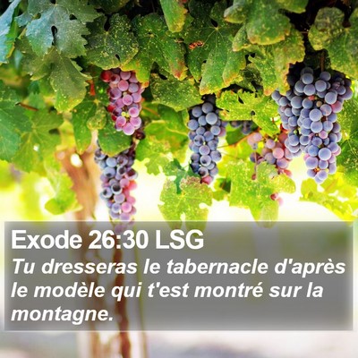 Exode 26:30 LSG Bible Verse Image
