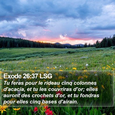 Exode 26:37 LSG Bible Verse Image