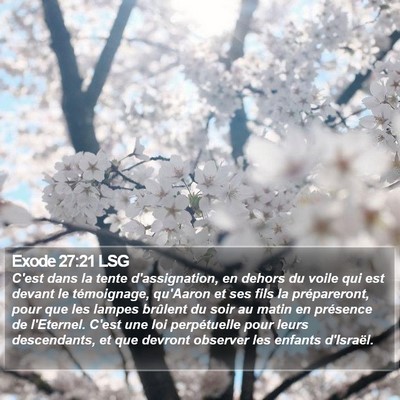 Exode 27:21 LSG Bible Verse Image