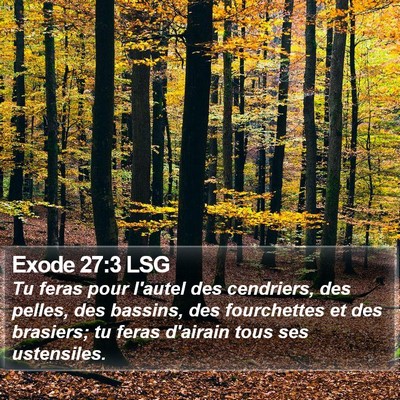 Exode 27:3 LSG Bible Verse Image