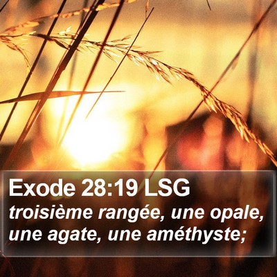 Exode 28:19 LSG Bible Verse Image